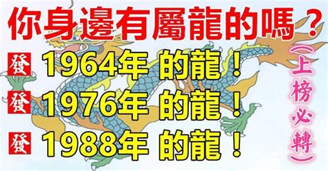 1988土龍|【1988年 龍】1988年屬龍者命運揭秘：與誰最相配，。